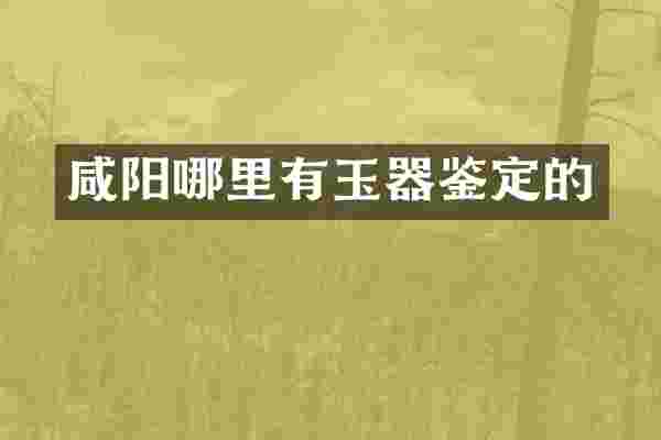 咸阳哪里有玉器鉴定的