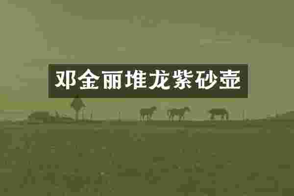 邓金丽堆龙紫砂壶