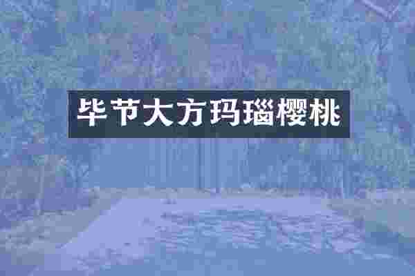 毕节大方玛瑙樱桃