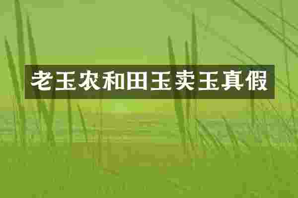 老玉农和田玉卖玉真假