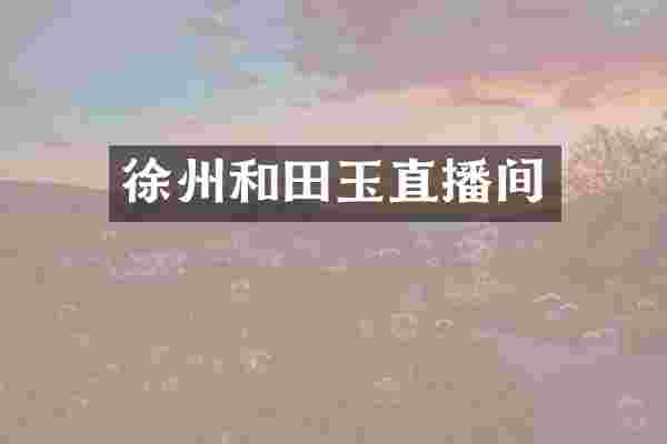 徐州和田玉直播间