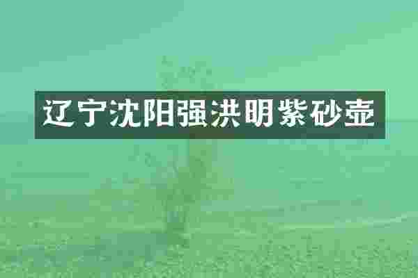 辽宁沈阳强洪明紫砂壶