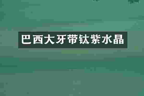 巴西大牙带钛紫水晶