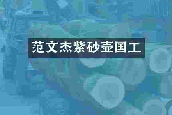 范文杰紫砂壶国工