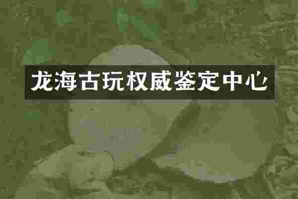 龙海古玩权威鉴定中心