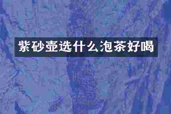 紫砂壶选什么泡茶好喝