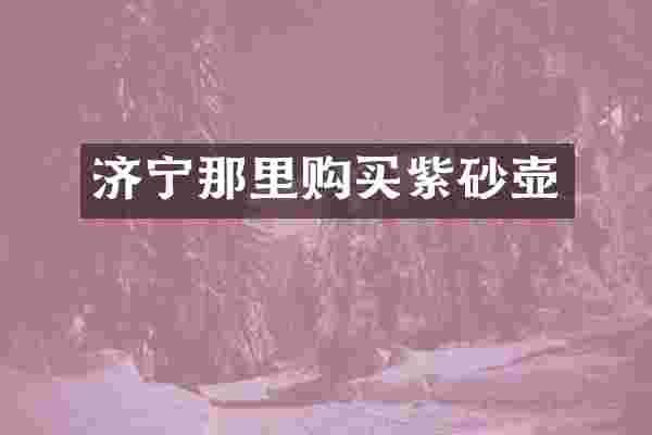 济宁那里购买紫砂壶