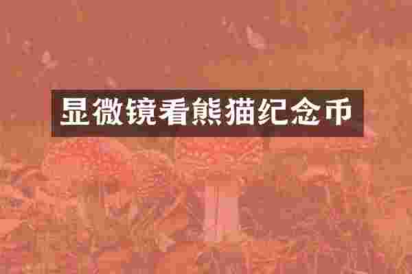 显微镜看熊猫纪念币