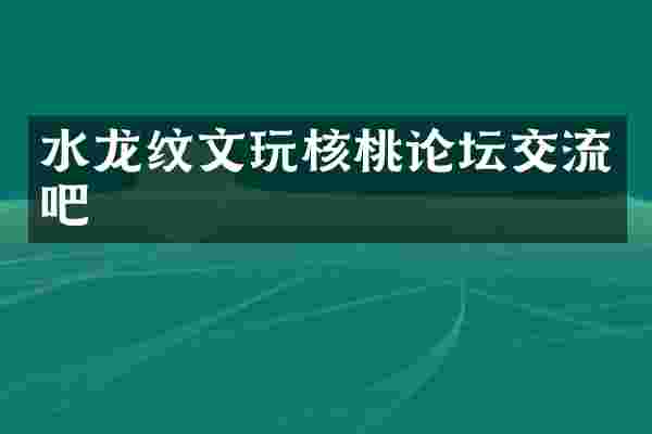 水龙纹文玩核桃论坛交流吧