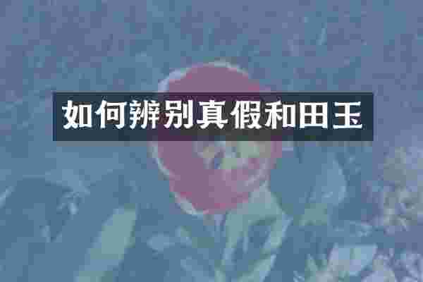 如何辨别真假和田玉