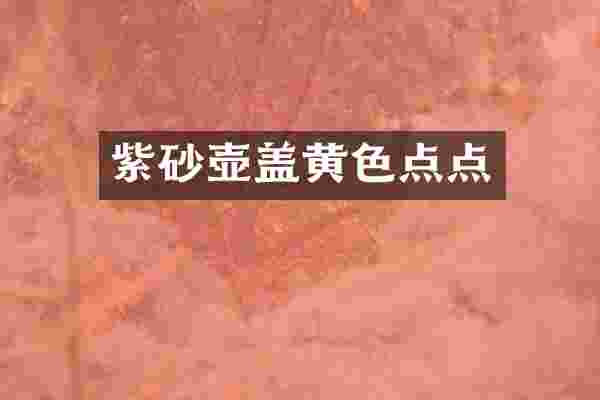 紫砂壶盖黄色点点
