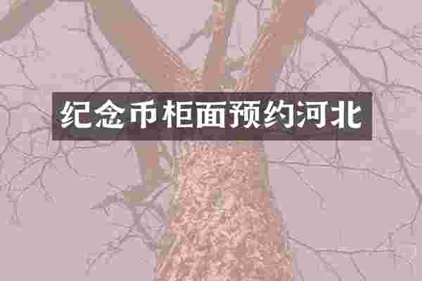 纪念币柜面预约河北