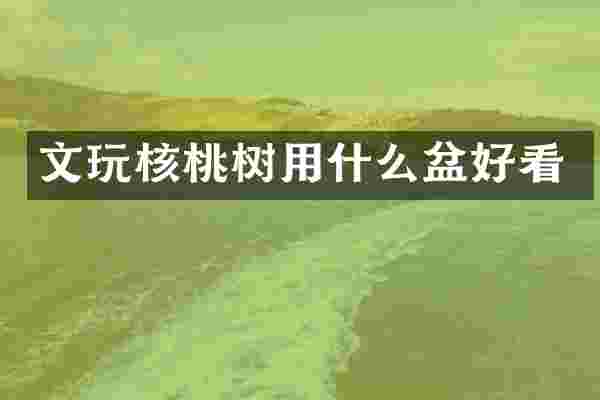 文玩核桃树用什么盆好看