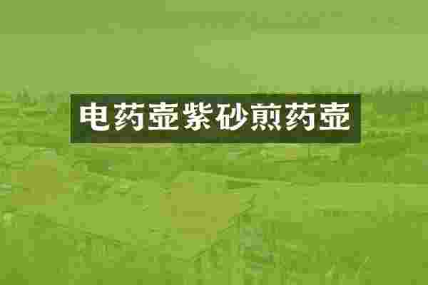 电药壶紫砂煎药壶