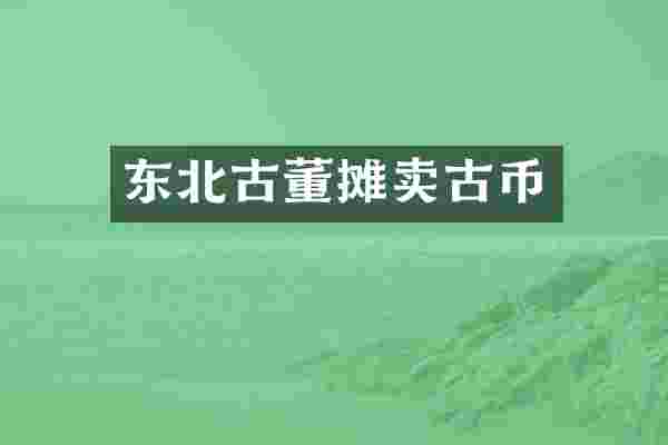 东北古董摊卖古币