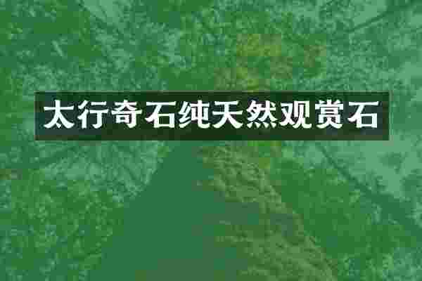 太行奇石纯天然观赏石