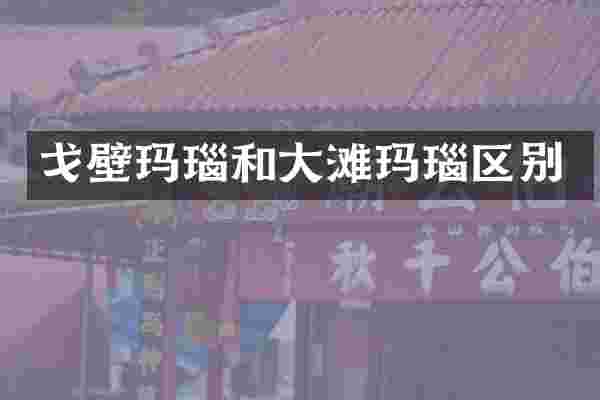 戈壁玛瑙和大滩玛瑙区别