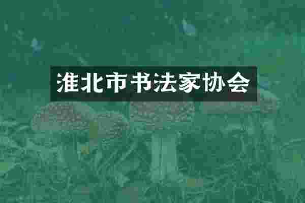 淮北市书法家协会