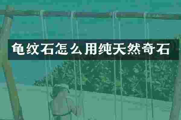 龟纹石怎么用纯天然奇石