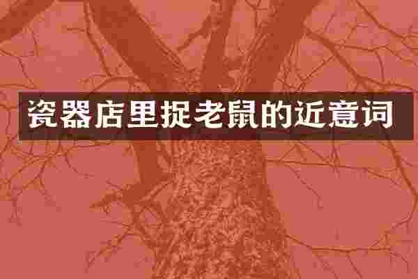 瓷器店里捉老鼠的近意词