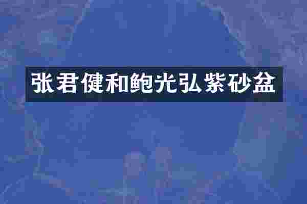 张君健和鲍光弘紫砂盆
