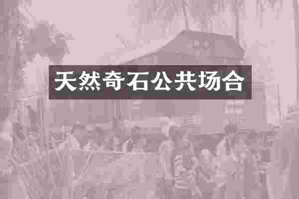 天然奇石公共场合