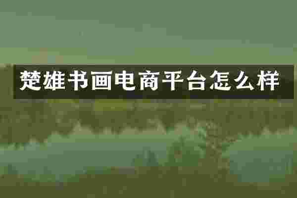 楚雄书画电商平台怎么样