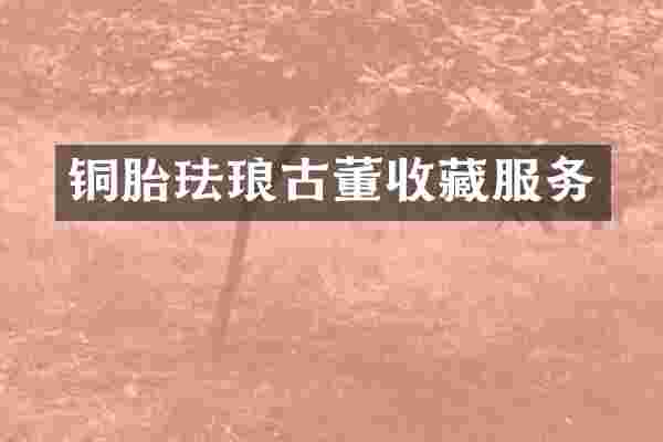铜胎珐琅古董收藏服务