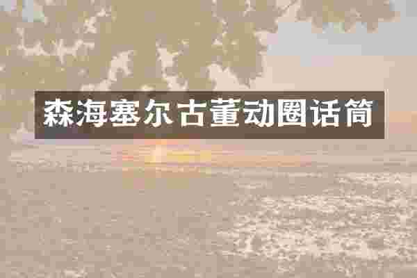 森海塞尔古董动圈话筒