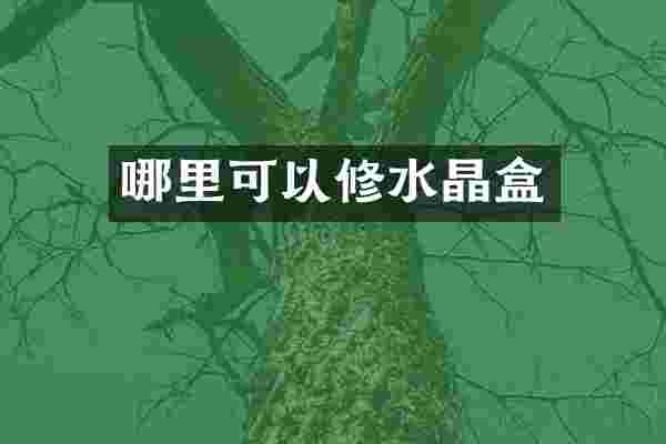 哪里可以修水晶盒