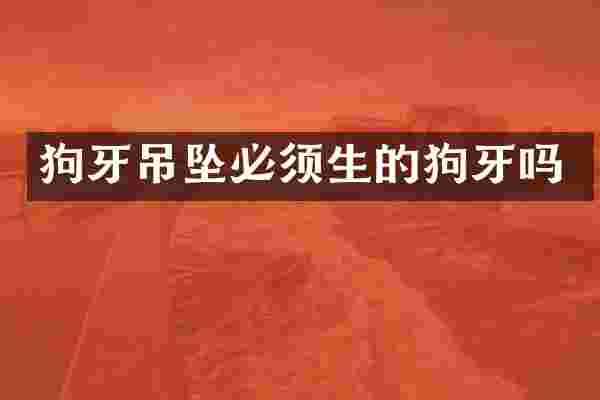 狗牙吊坠必须生的狗牙吗