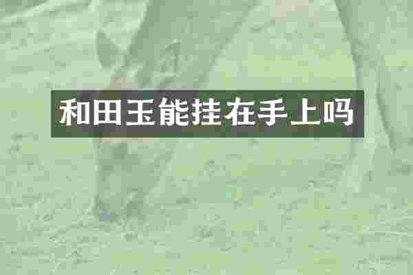 和田玉能挂在手上吗