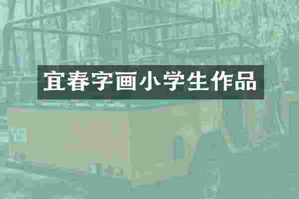 宜春字画小学生作品