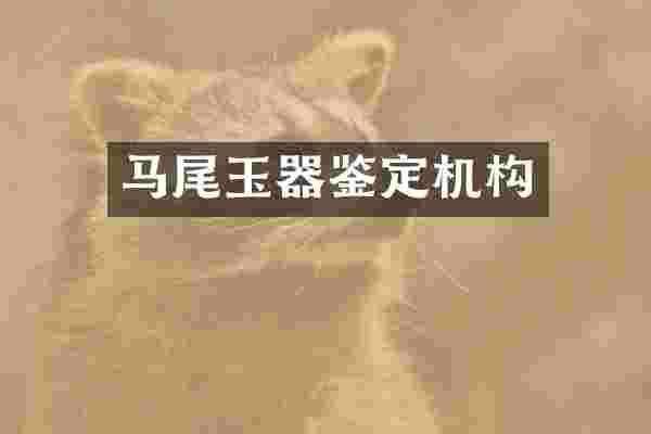 马尾玉器鉴定机构