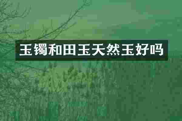 玉镯和田玉天然玉好吗