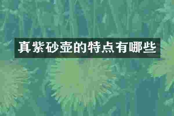 真紫砂壶的特点有哪些