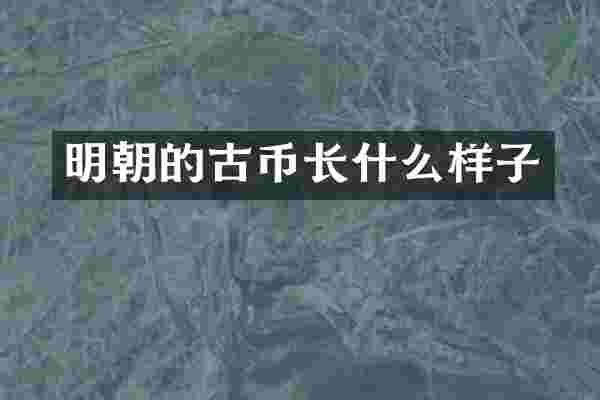 明朝的古币长什么样子