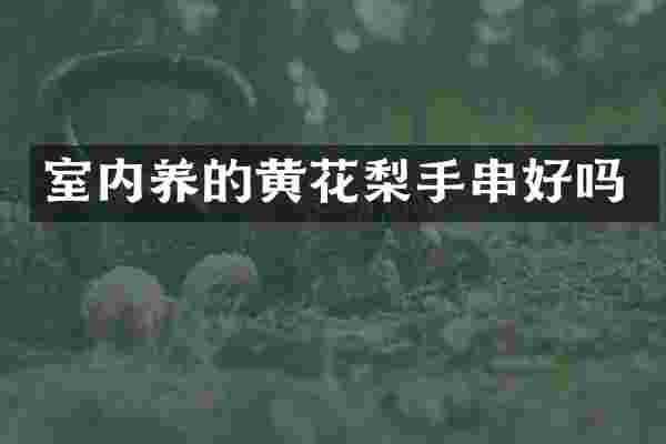 室内养的黄花梨手串好吗