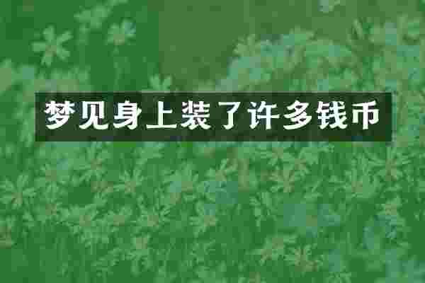 梦见身上装了许多钱币