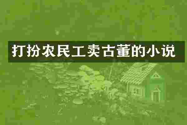 打扮农民工卖古董的小说