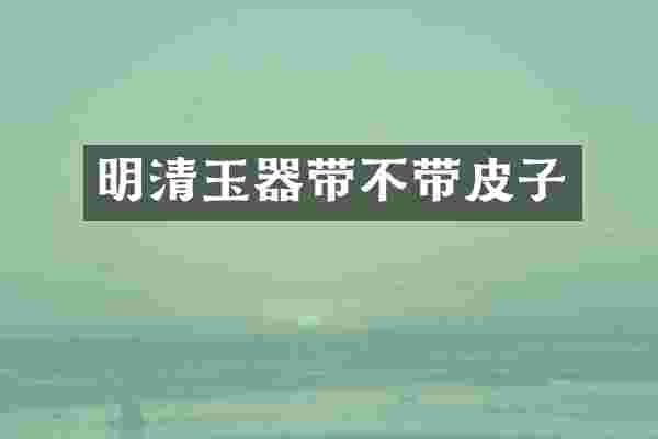 明清玉器带不带皮子
