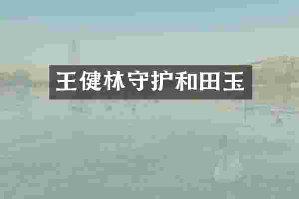 王健林守护和田玉