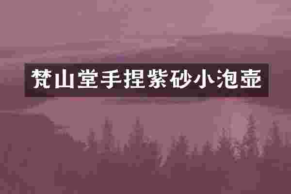 梵山堂手捏紫砂小泡壶