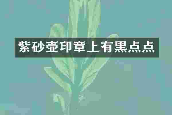 紫砂壶印章上有黑点点