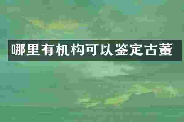 哪里有机构可以鉴定古董