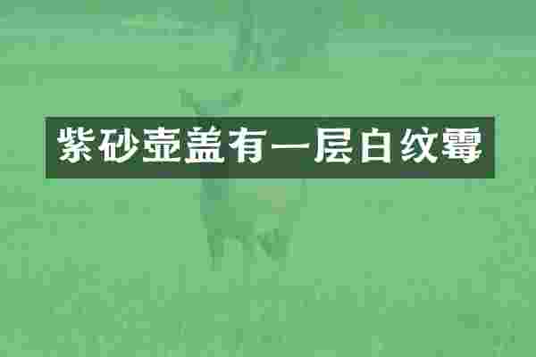 紫砂壶盖有一层白纹霉