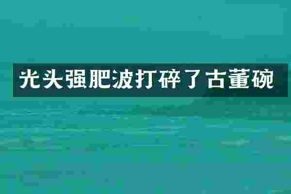 光头强肥波打碎了古董碗