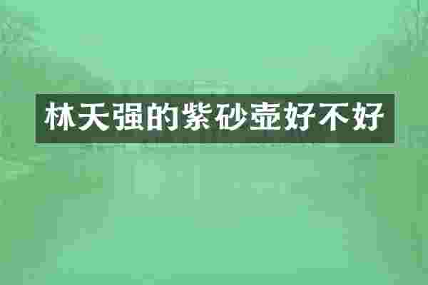 林天强的紫砂壶好不好