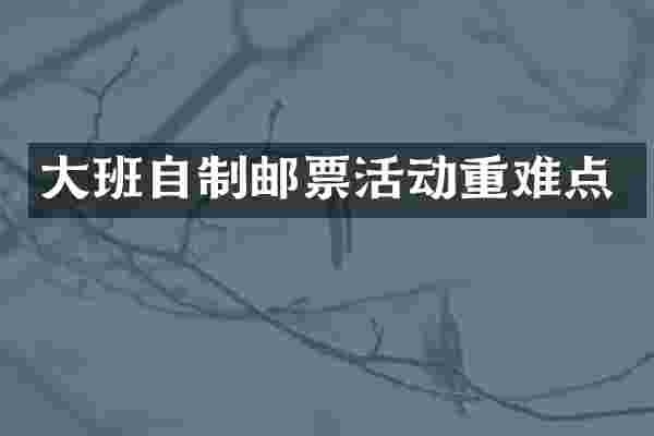 大班自制邮票活动重难点