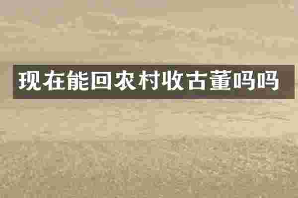 现在能回农村收古董吗吗